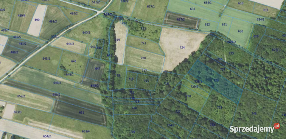 Ogłoszenie grunt Podniebyle 6100m2