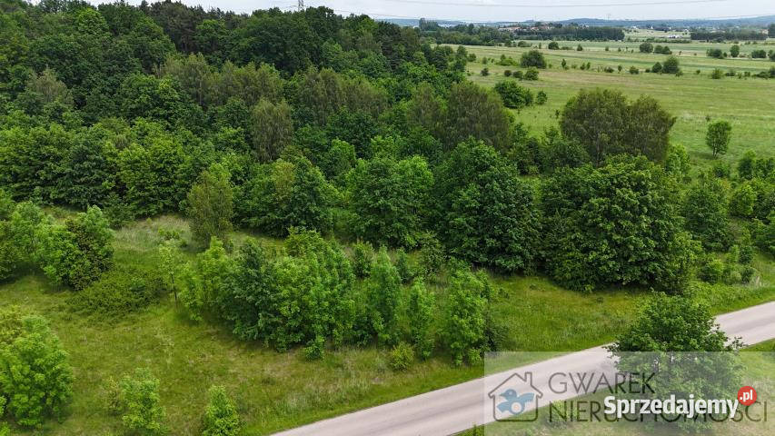 Działka 59500m2 Toporowice budowlana śląskie