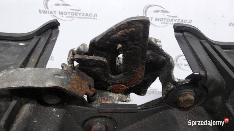 PANDA III 13r pas przód 51889115 świętokrzyskie sprzedam