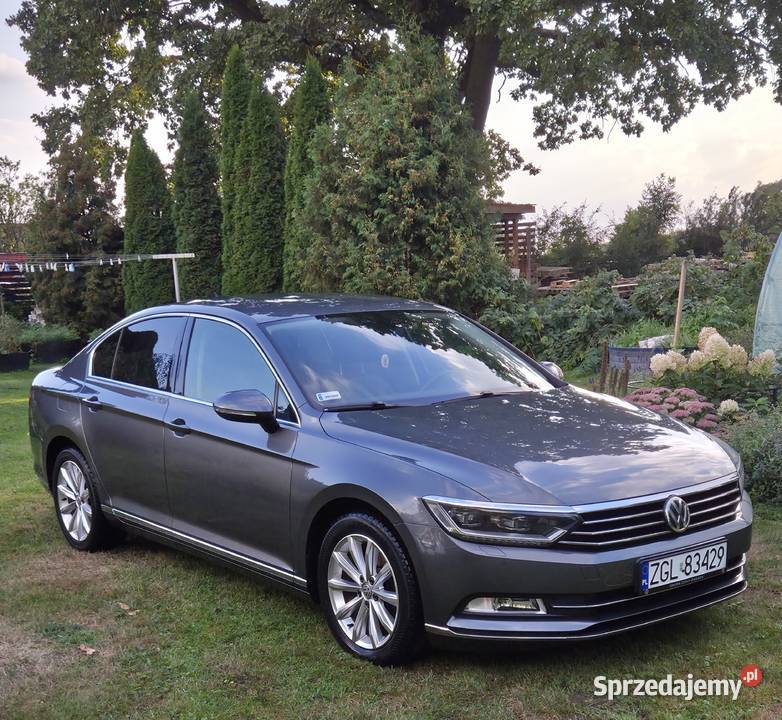 Volkswagen Passat 20 TDI Highline B8 Rurzyca