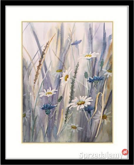 AkwareleŁąka Dyptyk 30X20 x2L Olbrycht