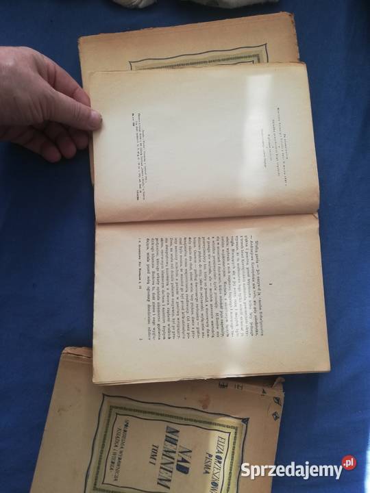 Książka Niemnem 123 Tom