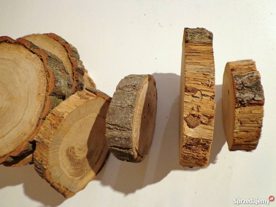 plastry drewniane Dąb pęknięty z ubytkami 2023 odcienie brązowego Rybnik