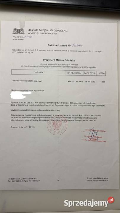 Żółw stepowy pomorskie Gdańsk sprzedam