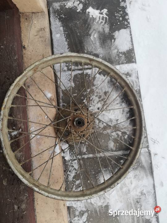 Kolo wfm 19 Skierniewice