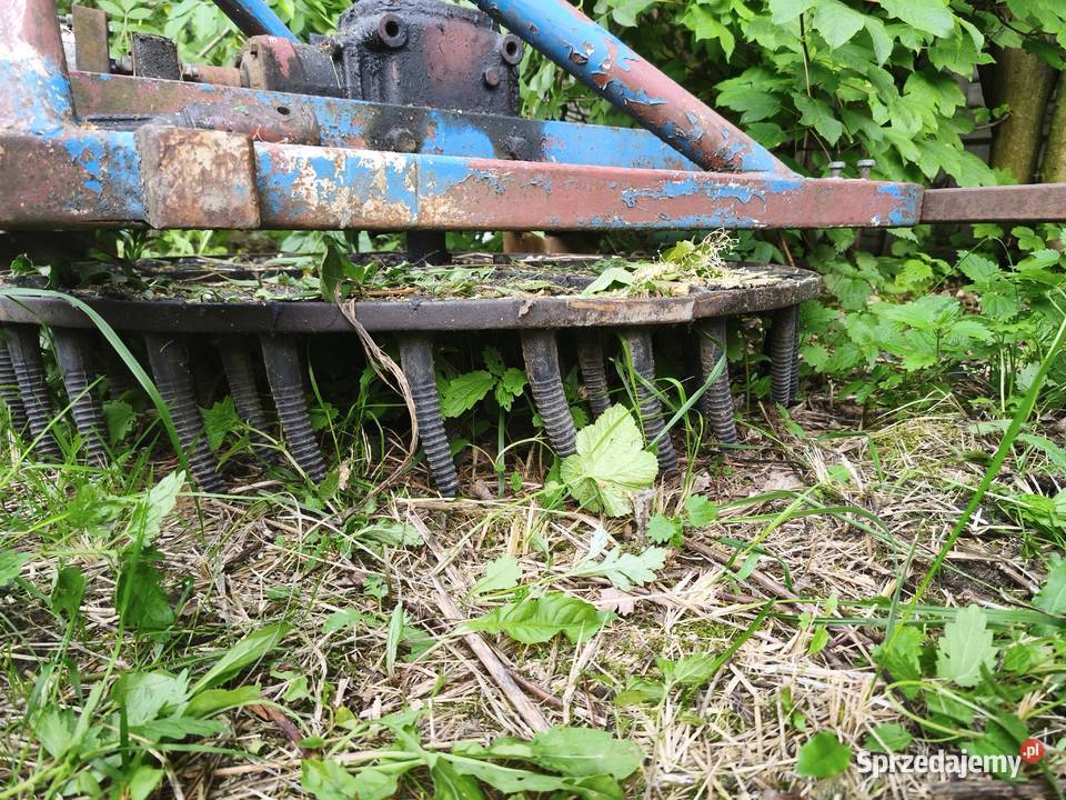 Ogławiarka do selera buraczków Maszyny rolnicze łódzkie Pajęczno