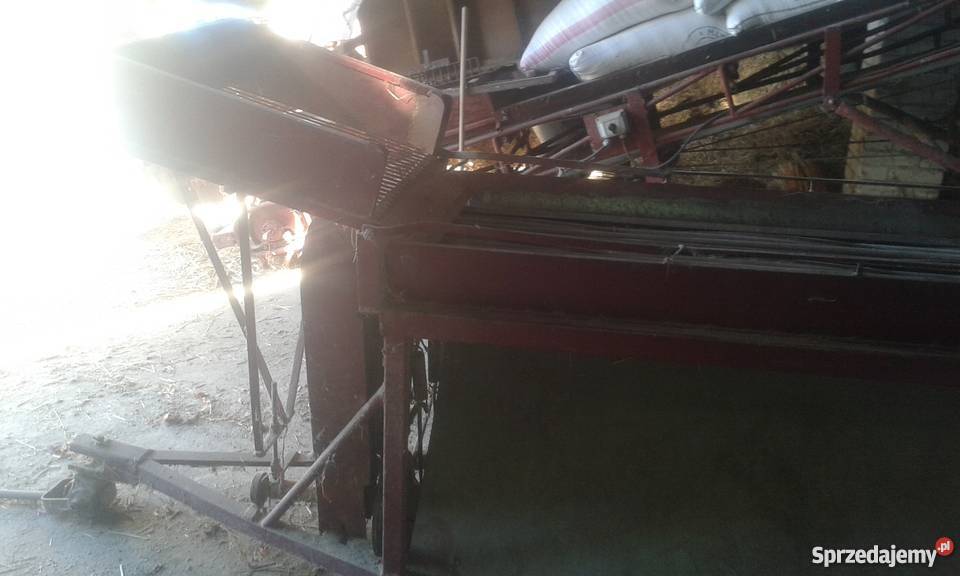 Czyszczarka do cebuli Maszyna do cebuli Obcinacz nieuszkodzony