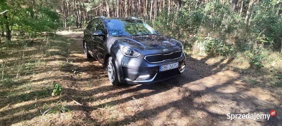 Kia Niro Bełchatów