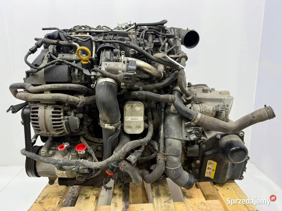 SILNIK CAY CAYD VW Caddy III IV 16 TDI 102