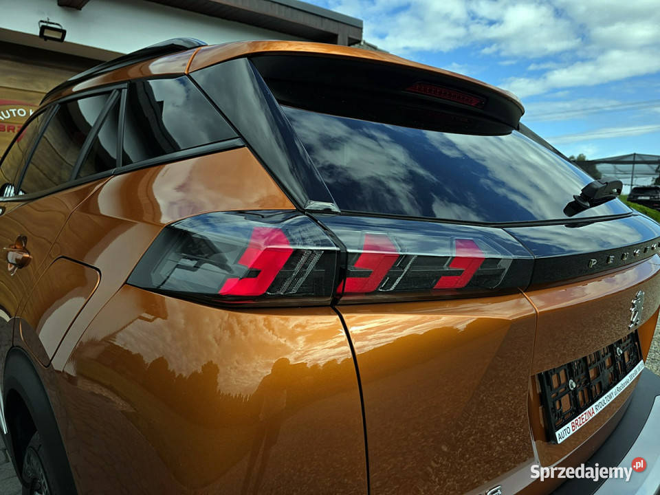 Peugeot 2008 serwis ASO Hak II 2019 gniazdo AUX