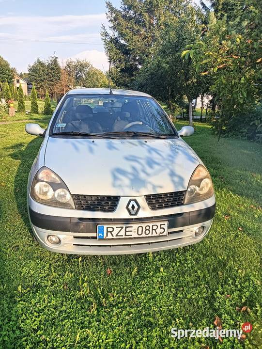 Renault Thalia srebrny Wietlin