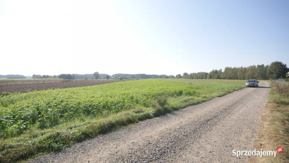 Działka rolno budowlana 96a Rudka Gołębska sprzedam