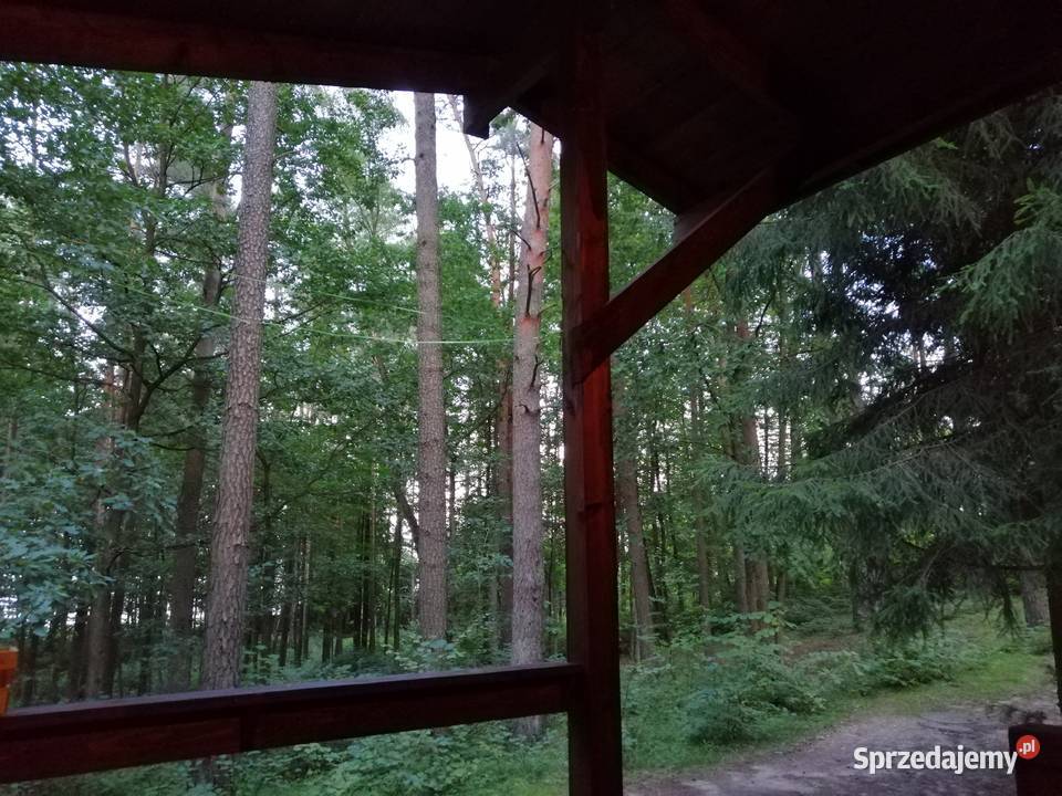 Domek Poziomka jezioremSasek Wielki nocleg Sasek