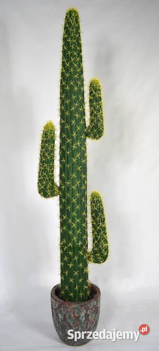 Kaktus sztuczny Mexico Cereus naturalny wygląd Wąbrzeźno
