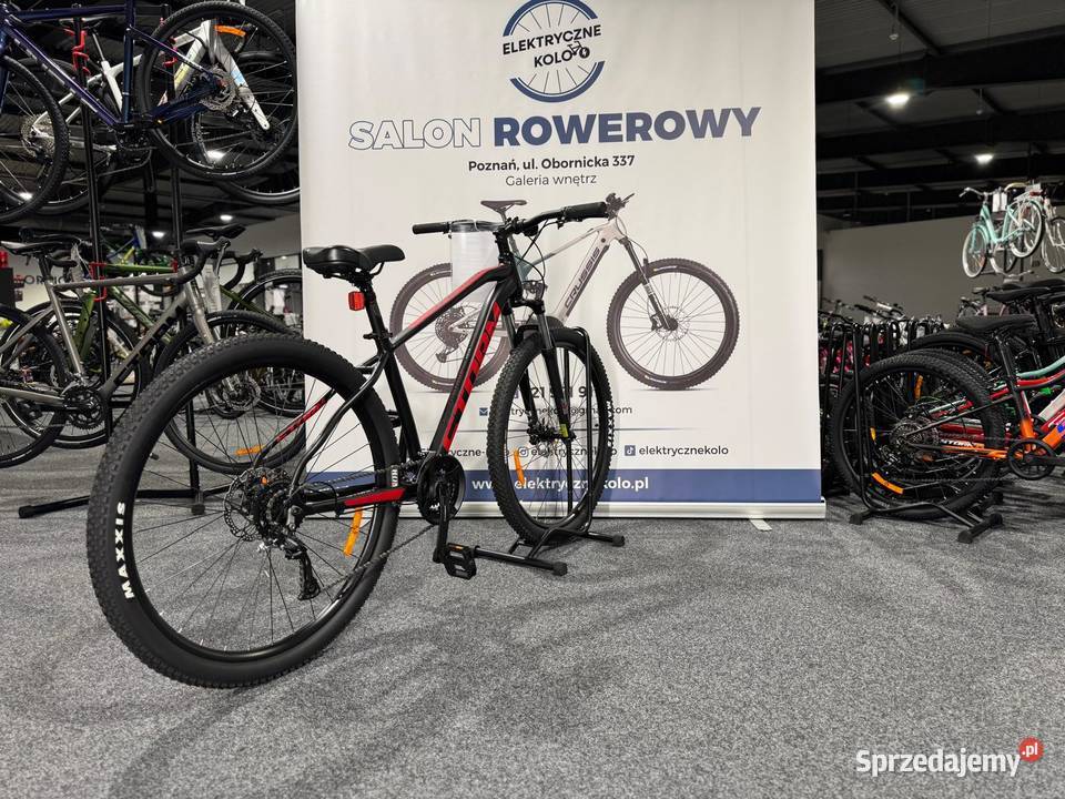 Rower MTB Storm SHARK 29 MAN 30 Rama 17 Raty 0 Poznań