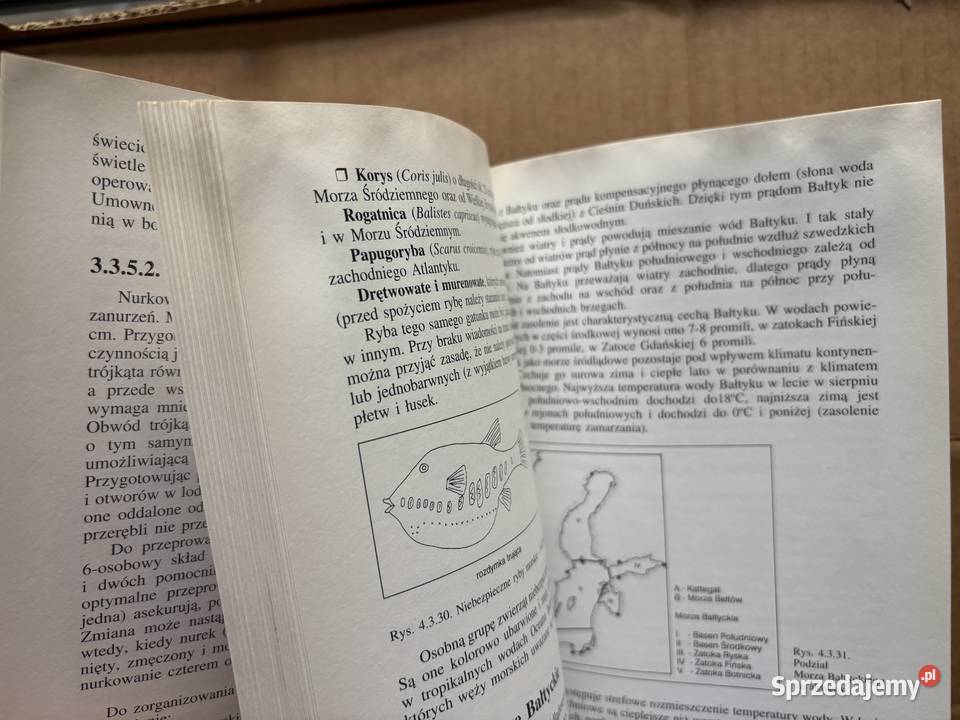 Książka Nurkowanie Wydanie z 1999 Nurkowanie Bytom sprzedam