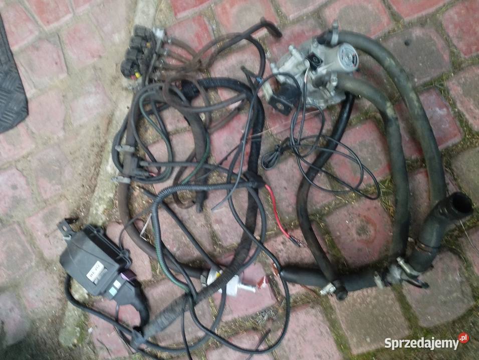Instalacja Sekwencja nevo parownik shark osobowe śląskie Sosnowiec