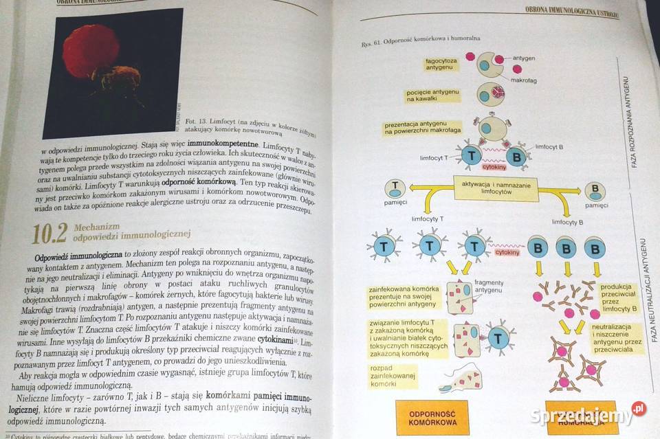 Biologia 1 Podstawy życia Tajemnice ludzkiego