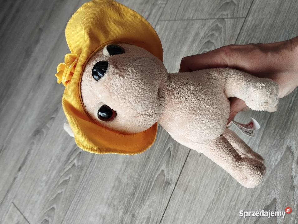 piesek chi chi love pluszak maskotka wielkopolskie Poznań