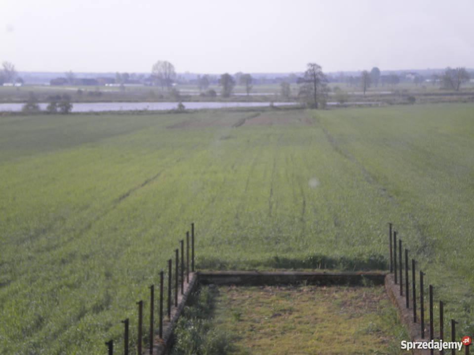 Sprzedam Dom Piątku Piątek