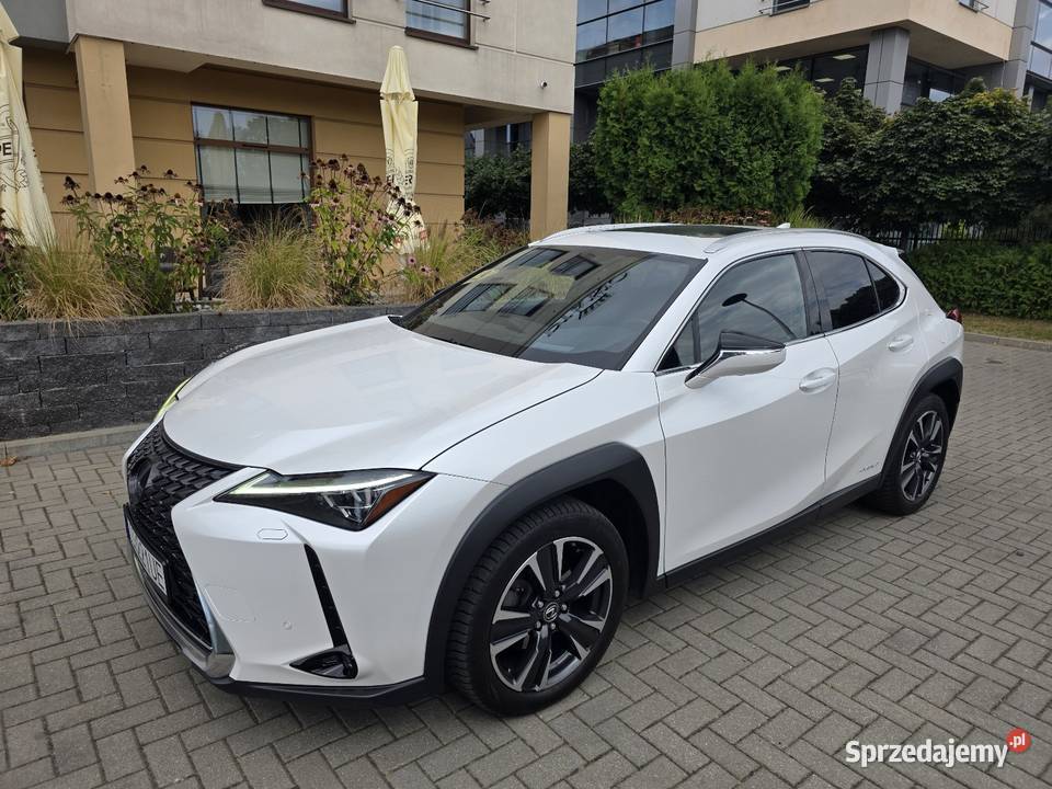 Lexus UX 250H Omotenashi Mark Levinson premium Lublin