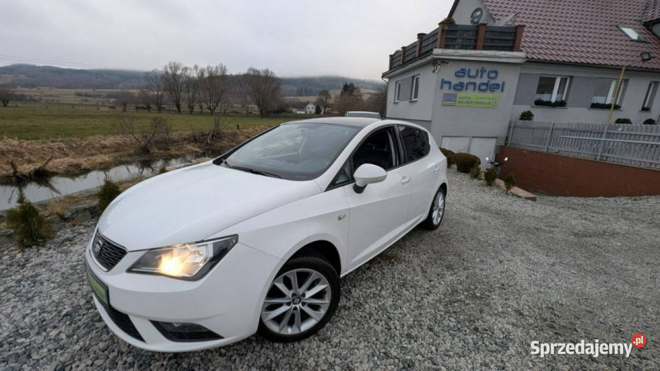 Seat Ibiza GT 12 MPI Lift IV 2008 dolnośląskie Kamienna Góra