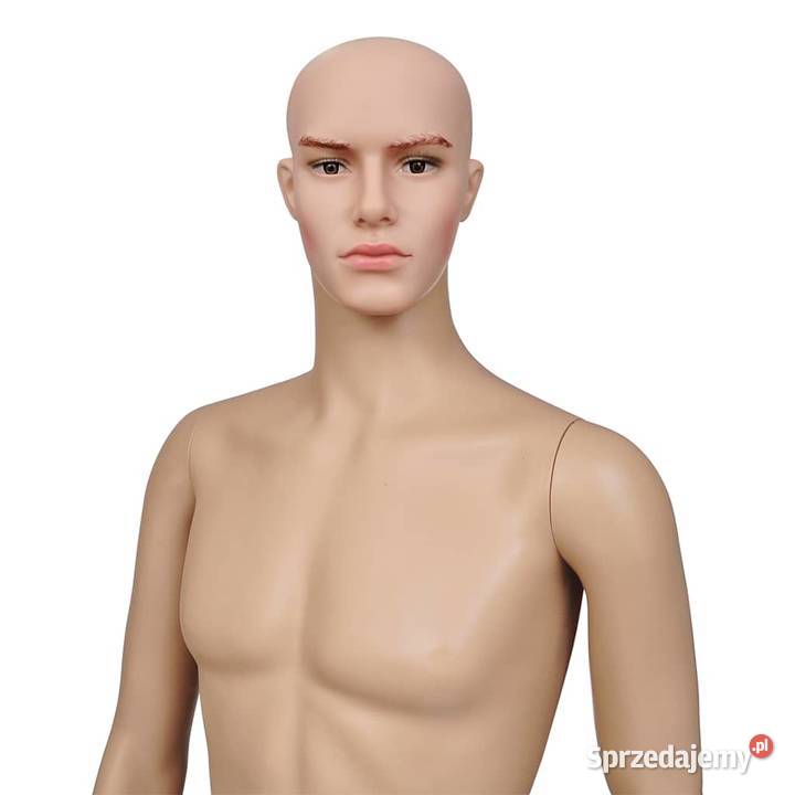 Manekin męski 187 Wschowa