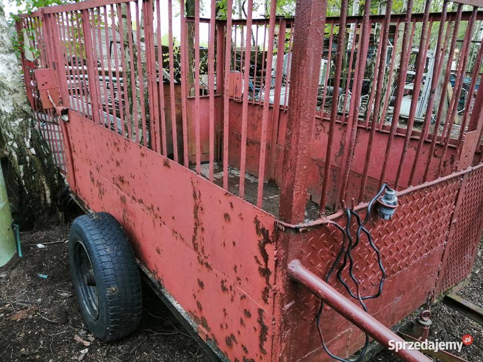 Przyczepa jednoosiowa śląskie Aleksandria
