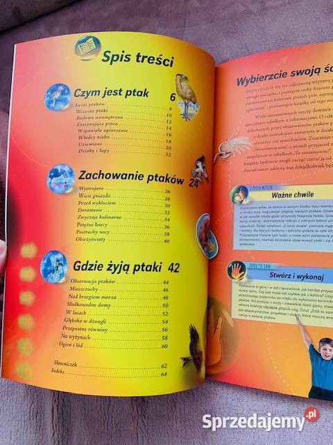 Ptaki Poszukiwacze Edward S Brinkley przyroda, krajobrazy Warszawa