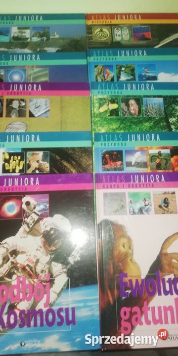 Atlas juniora