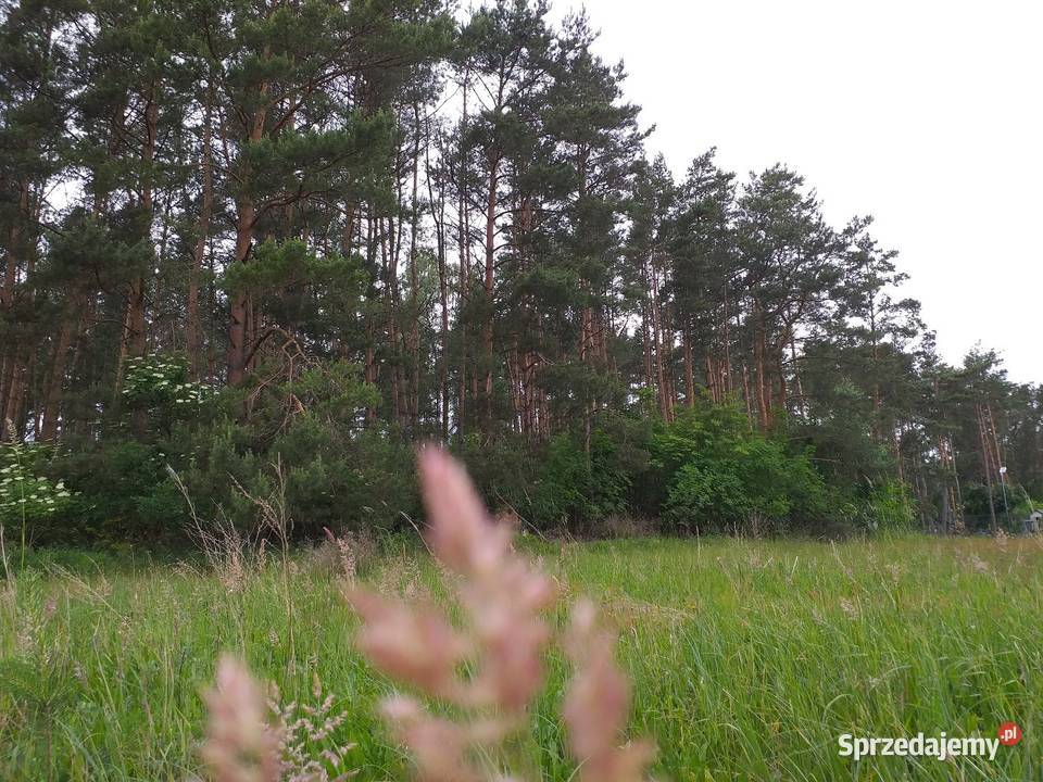 DZIAŁKA BUDOWLANA PIŁA DOLASZEWO wielkopolskie