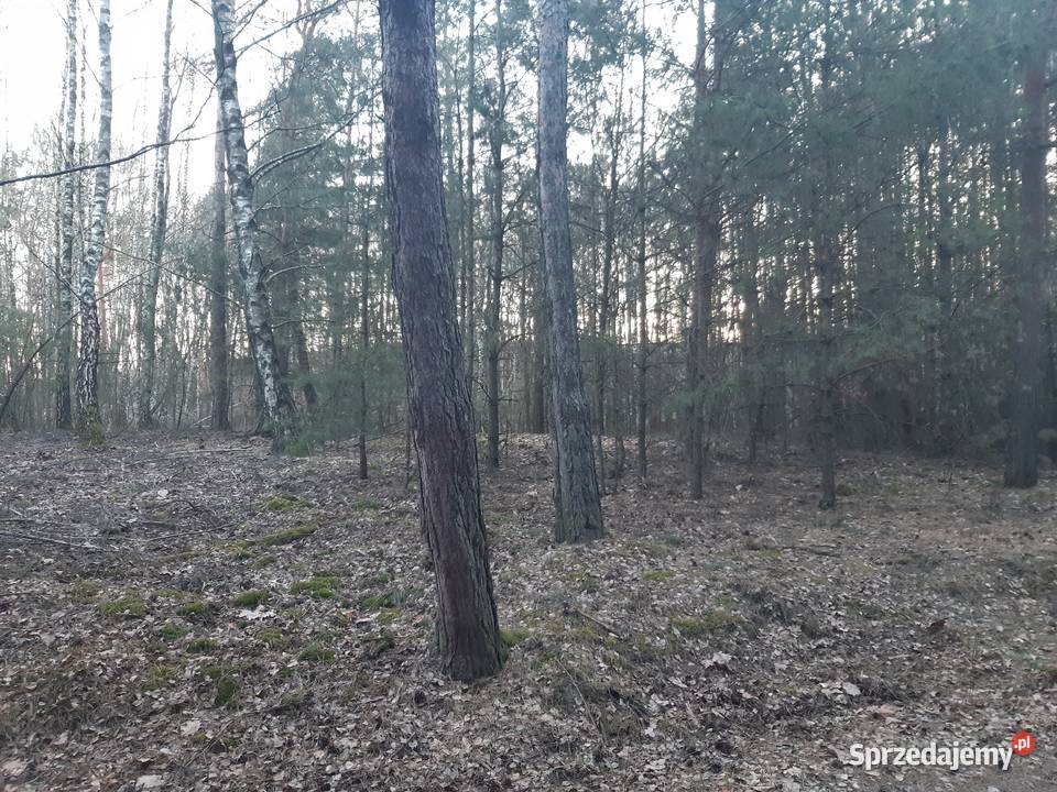 Sprzedam działki Dębno