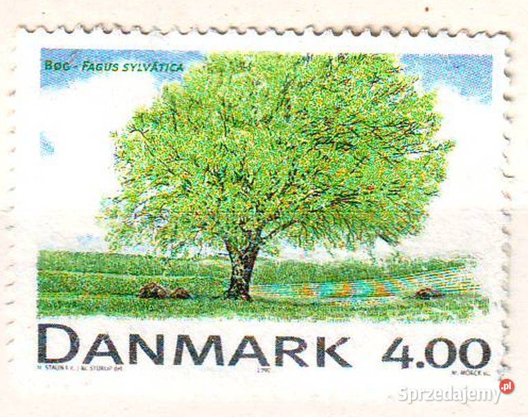 Zn Dania Mi 1199 kas 1999 śląskie