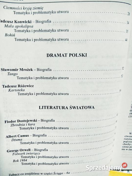 Polski ściąga 6b Greg antykwariat szkolny Warszawa
