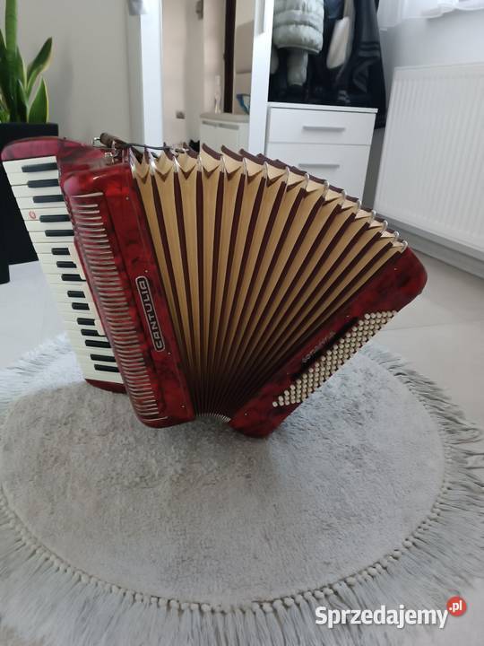 Akordeon cantulia 96 basów Kultura i Rozrywka Dębica