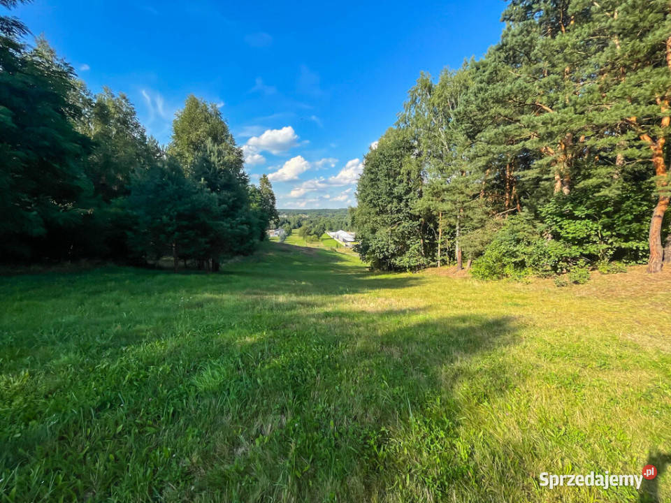 Działka budowlana 2000m2 Kuczów świętokrzyskie