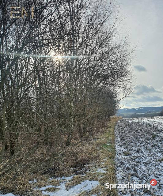 Działka 2400m2 Zgłobień 81m podkarpackie