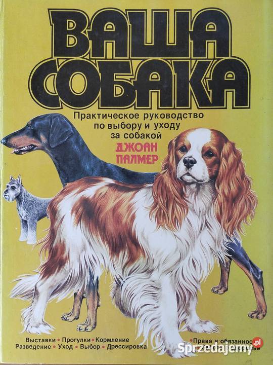 Wasza sobaka wasz pies zwierzęta domowe i hodowlane Poradniki, albumy i reportaże Bielsko-Biała