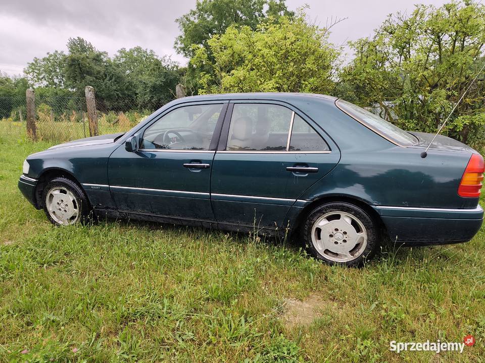 Mercedes cklasa w202 Rok produkcji 1995 lubuskie Sieniawa sprzedam