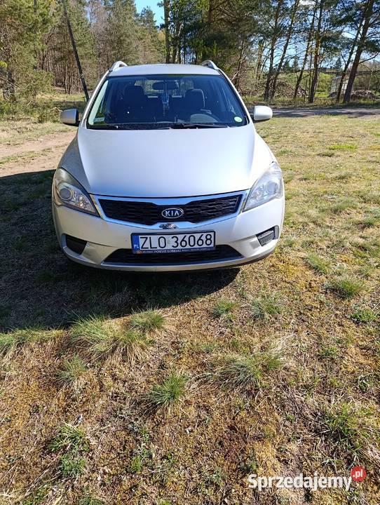 Kia ceed Łobez