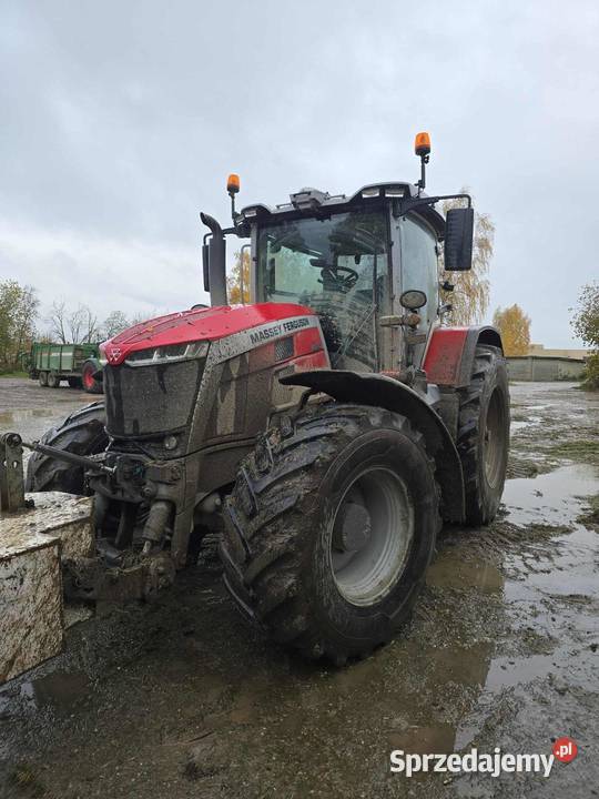 Massey Ferguson 8s245 dyna VT vario Sokoły