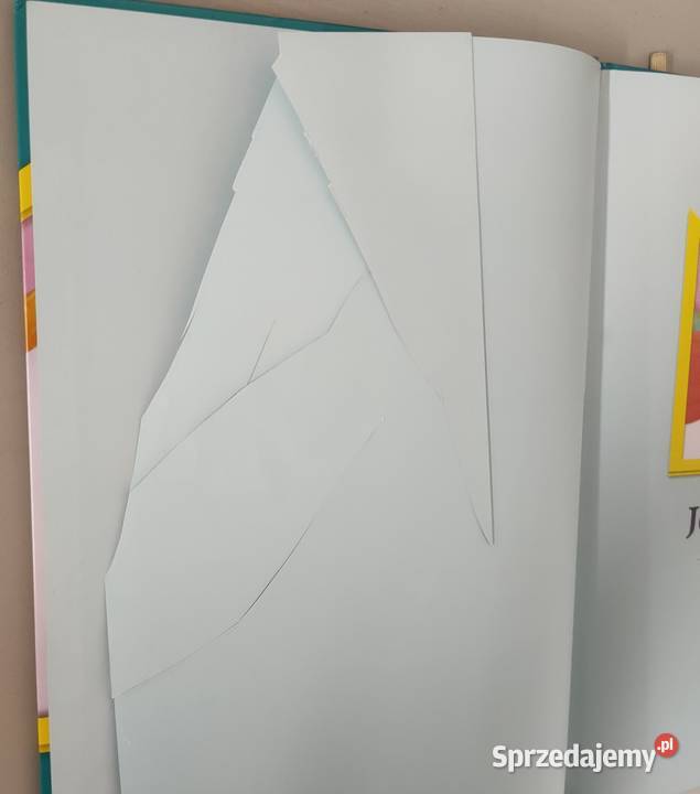 Książki małych i dużych zestaw 22 tomy 121 36 śląskie Sosnowiec