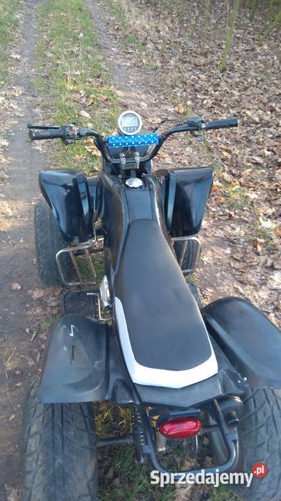 Quad 250 Bashan Zongshen Kingway Staroźreby sprzedam
