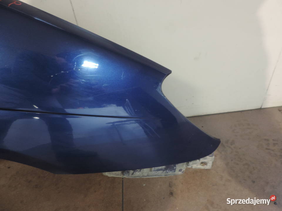 BŁOTNIK PRAWY PRZEDNI RENAULT SCENIC 1 FL TED44 małopolskie Nowy Sącz