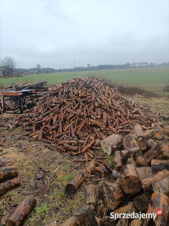Drewno opałowo Piła