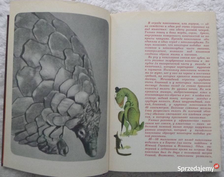 Świat zwierząt Igor Akimuszkin rosyjsku Warszawa