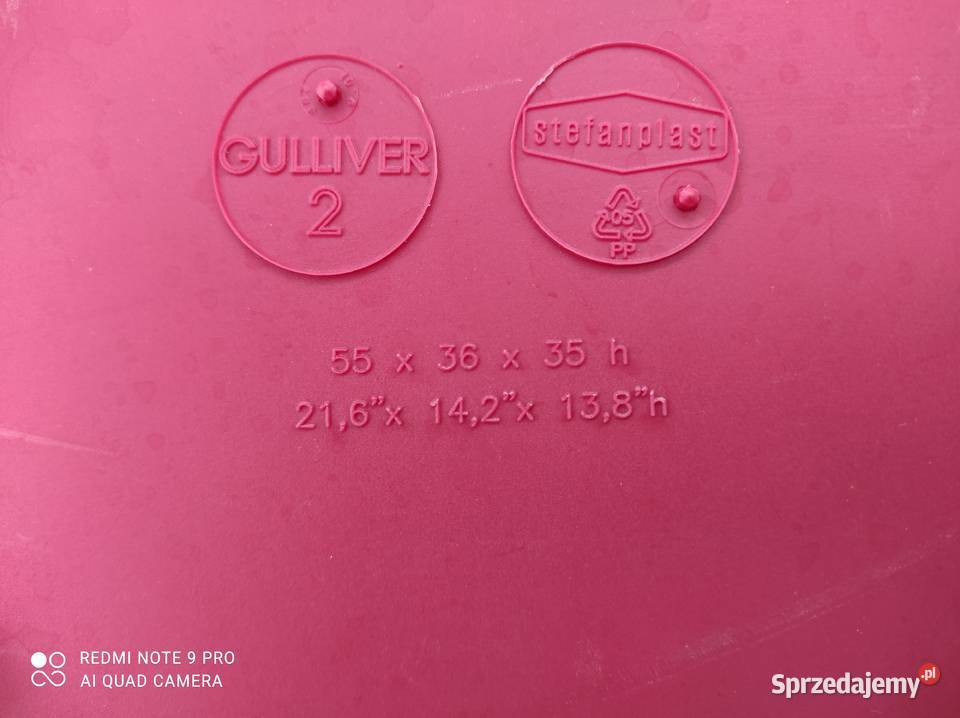 transportery kotów 2 dolnośląskie Lubin