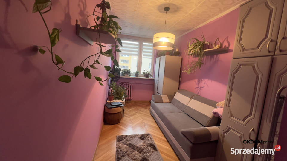 3 pokoje 51m2 Staszów Wschodnia jasne mieszkanie
