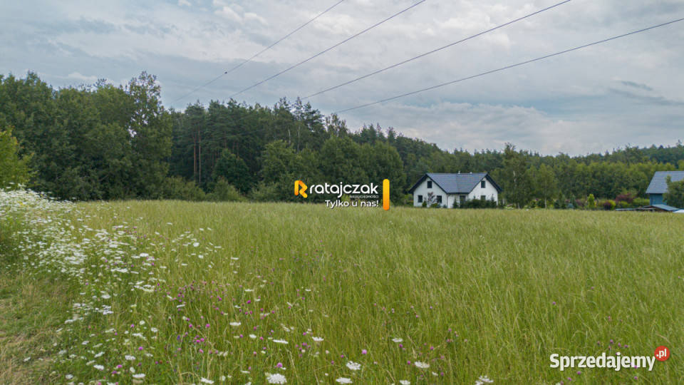 Działka Skrzeszewo 2464m2