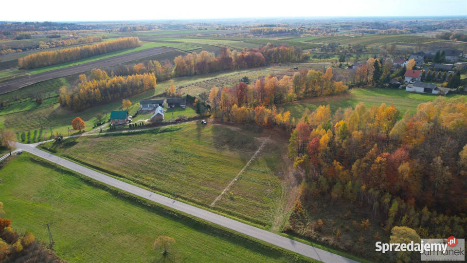 Sprzedaż działki TeodorówkaKolonia 2636m2 szambo Teodorówka-Kolonia